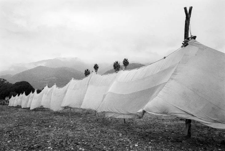 RECORDANDO EL ANTIGUO AJIJIC